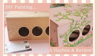 DIY Painting A Hay Box amp Happy Rabbit Company Review [upl. by Ackley877]