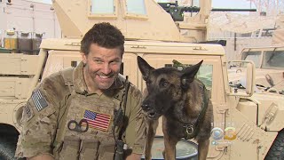 David Boreanazs Canine Sidekick Becoming MustSee On SEAL Team [upl. by Dyraj]