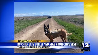 Tulelake Police Department K9 gets bullet stabprotective vest [upl. by Eugirne]