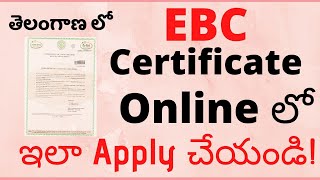 EBC Certificate in Telangana State  How to Apply For Economically Backward Class Certificate Online [upl. by Asirehc205]