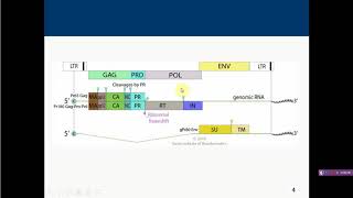 Avian leukosissarcoma group [upl. by Durwyn]