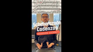 Scheherazade Cadenzas Bassoon Excerpt [upl. by Cherish379]