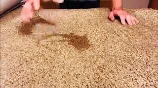 Why do carpet stains reappear after cleaning [upl. by Fira]