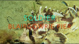 SOLDIER FISH Blairgowrie Pier NIGHT [upl. by Eramal]