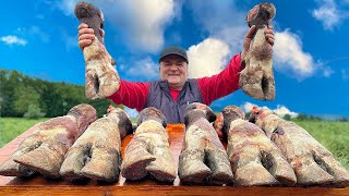 Cooking Giant BEEF HOOVES for LifeSaving Broth Indispensable Dish for Men [upl. by Alon]