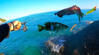 TANTE Specie di Pesci e Cefalopodi a Light Rock Fishing e a Eging Pescate dal Porto nel mar Tirreno [upl. by Corabelle800]