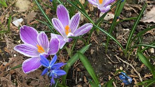 17032024  Nabożeństwo niedzielne  Chrześcijańska Wspólnota Zielonoświątkowa w Kłodzku [upl. by Ynatirb]