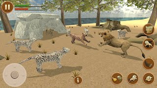 Lion Simulator Game  Lion Games 3D Animal Hunting  Gameplay  Part 2  TMG [upl. by Eilahtan653]