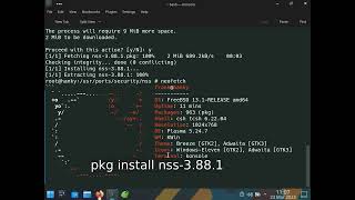 FreeBsd Firefox 1110 and NSS 3881 update [upl. by Ettenahs]