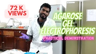 Agarose gel electrophoresis [upl. by Polish]