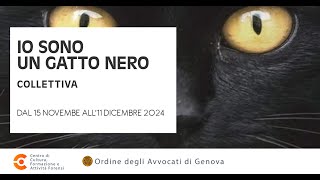 IO SONO UN GATTO NERO [upl. by Asselam272]