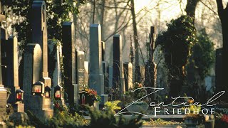 Vienna  Zentral Friedhof amp Fiaker [upl. by Nebuer212]