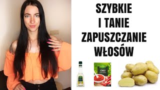 JAK ZAPUŚCIĆ WŁOSY SZYBKO I TANIO Domowe wcierki DIY [upl. by Notfol333]