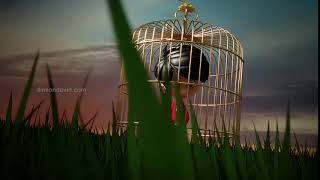 Cage  Motion Graphics Dinson David [upl. by Brotherson585]