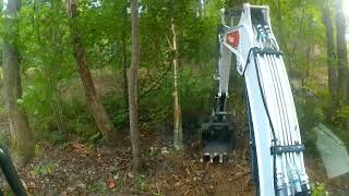 Bobcat E35i Clearing Brush  Timelapse  9152024 [upl. by Baerman]