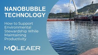 Aquaculture Support Environmental Stewardship While Maintaining Productivity with Nanobubbles [upl. by Arima]