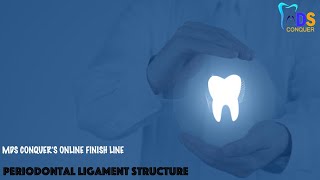 Periodontal ligament structures [upl. by Inimak]