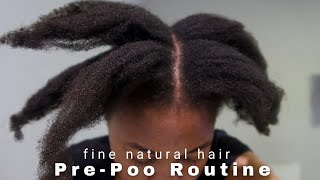 A PrePoo Routine For Type 4 hair [upl. by Selie]