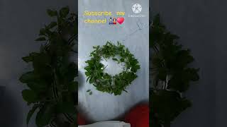 ksheerabdi dwadasi special urli decoration 🕉flowerdecoration shots 🙏 urlidecoration urliforhome [upl. by Annawek]