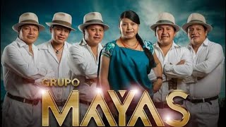 Grupo “Mayas” No me vuelvo a enamorar DRA 2023 envivo music 2024 [upl. by Straus]