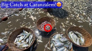 Massive catch by Caranzalem Ramponkars Goa  Bumper Catch in Goa🐠 [upl. by Gone442]