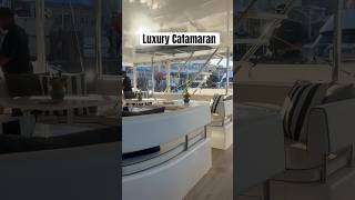 Luxury catamaran in Cape Town shorts viralshorts [upl. by Ratep]