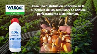 Beneficios de WUXAL Semillion [upl. by Garibald]