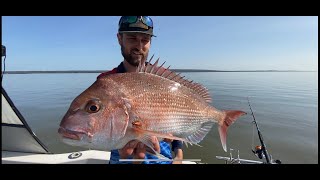 Westernport is heating up Snapper fishing early season [upl. by Dikmen795]