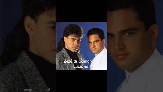 Saudade bandida Zezé di Camargo e Luciano sertanejo musicasertaneja zezédicamargoeluciano [upl. by Salokin]