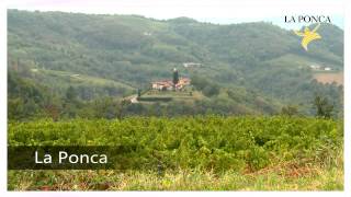 TENUTA LA PONCA VINI COLLIO ita [upl. by Mohn923]