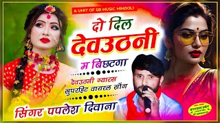 सिंगर पपलेश दीवाना देव उठनी ग्यारस वायरल सोंग 2024दो दिल देव उठनी म बिछटगाsinger paplesh deewana [upl. by Nna]