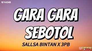 SALLSA BINTAN  GARA GARA SEBOTOL LIRIK LAGUGaragara sebotol minumandia jalan sempoyongan [upl. by Iramo]