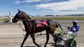 Standardbred Racing [upl. by Doubler]