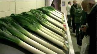 Harrogate Premier North of England Vegetable Show 2011 amp world record onion [upl. by Beichner]