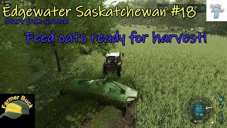 Time to harvest Green feed oats but how  Edgewater Saskatchewan  FS22  Start from scratch  18 [upl. by Enelloc649]