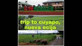 Trip to cuyapo nueva ecija [upl. by Macdougall]