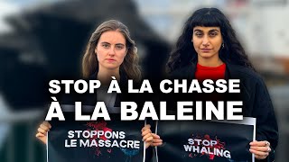 LES DERNIERS CHASSEURS DE BALEINE DISLANDE [upl. by Margherita]