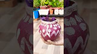 Purple Heart 💜 grow from cuttings shorts viralshorts video rooftop garden [upl. by Romalda]