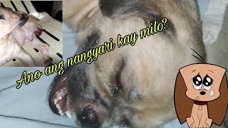 Lunas para sa pangangati at fungal infection ng asohome treatment [upl. by Apfel]