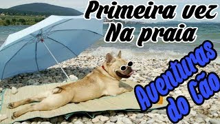 Aventuras do cão  Primeira vez na praia [upl. by Edi]