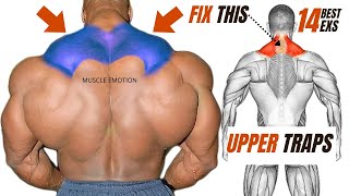 UPPER TRAPS WORKOUT 14 best exercises with dumbbells barbell cable only at home or gym [upl. by Schinica]