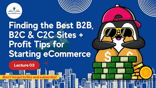 Finding the Best B2B B2C amp C2C Sites  Profit Tips for Starting eCommerce [upl. by Gnoy]