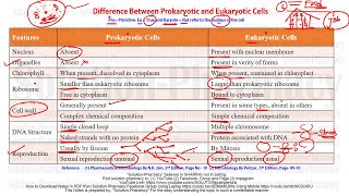 Microbiology 08 Difference Between Prokaryotic and Eukaryotic Cell  Prokaryotes amp Eukaryotes [upl. by Ahsac]