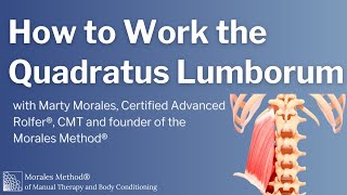 How to Work the Quadratus Lumborum [upl. by Anyad]