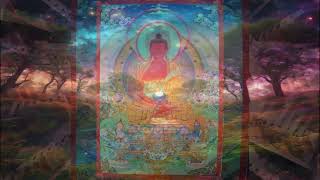 The Amitabha Sutra the Shorter Sukhavativyuha Sutra  PURE LAND MAHAYANA BUDDHISM Audiobook [upl. by Landrum]