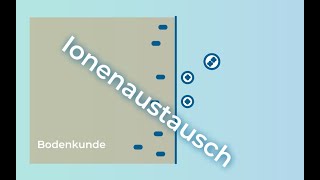 Bodenkunde verstehen – Ionenaustausch [upl. by Ashmead]