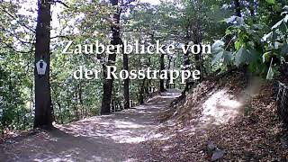 Zauberblicke von der Rosstrappe I Harz [upl. by Bethany]