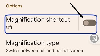 Magnification shortcut on google pixel 7 pro how to use magnification setting [upl. by Paris]