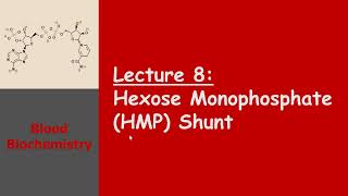 Blood Biochemistry  Hexose Monophosphate HMP Shunt [upl. by Aninep]