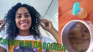 Chá da folha da Goiaba [upl. by Lahcim]